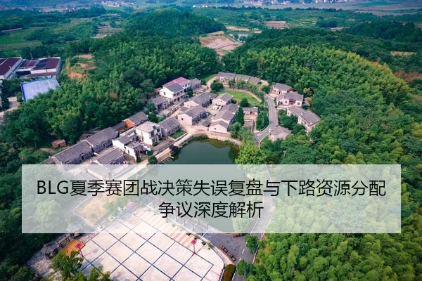 BLG夏季赛团战决策失误复盘与下路资源分配争议深度解析（PARealBet）