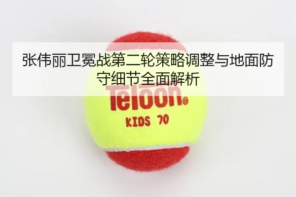 张伟丽卫冕战第二轮策略调整与地面防守细节全面解析 | PARealBet